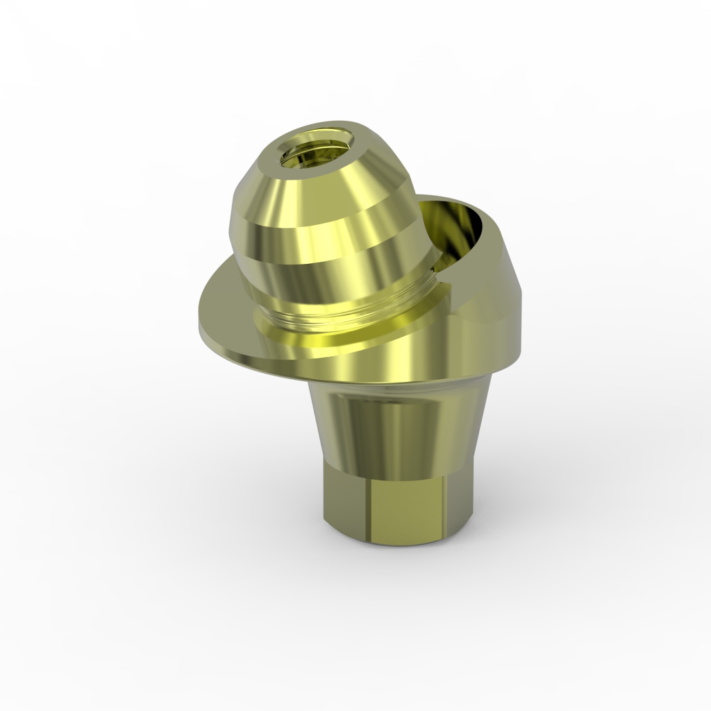 17° Angled abutment + Cli.S. conical connection