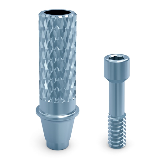 Provisional abutment + clinical screw